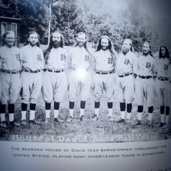 Bruce Chadwick Other - Baseball's Hometown Teams: The Story of the Minor Leagues Major league memories